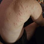 549184284_770733285883013_1619433682747441122_n