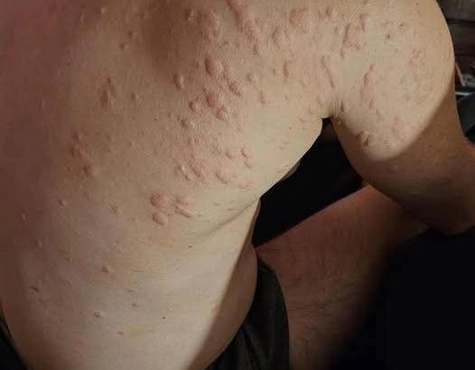 549184284_770733285883013_1619433682747441122_n