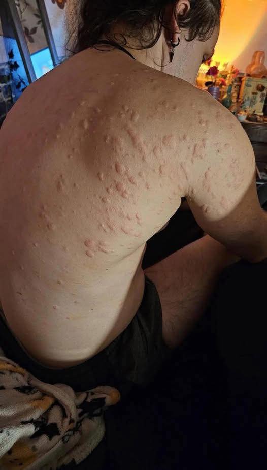 549184284_770733285883013_1619433682747441122_n